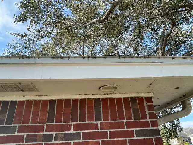 Nueces Renovations project photo