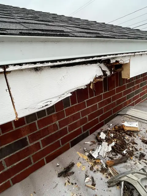 Nueces Renovations project photo