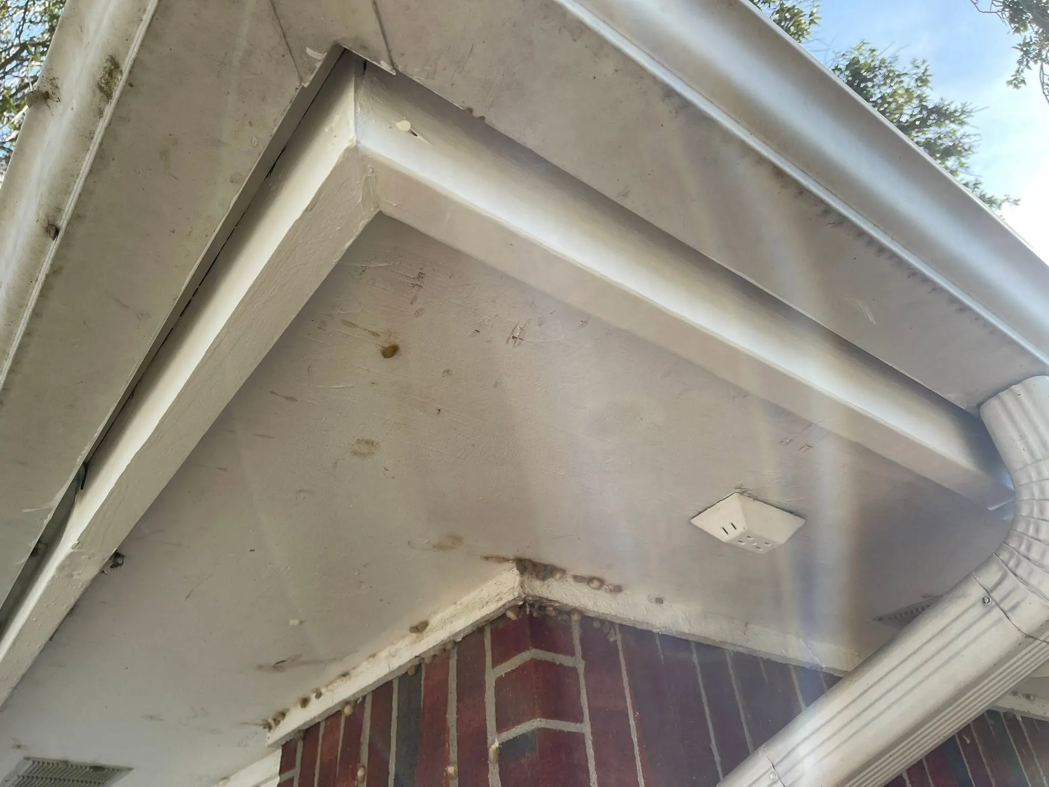 New white soffit and fascia under a roof edge