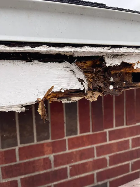 Fascia rotted through